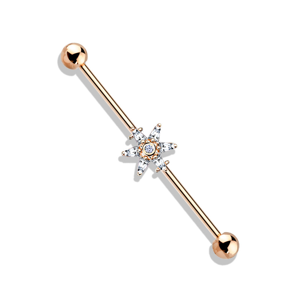 6 Princess Cut CZ Petal Flower  Industrial Bar