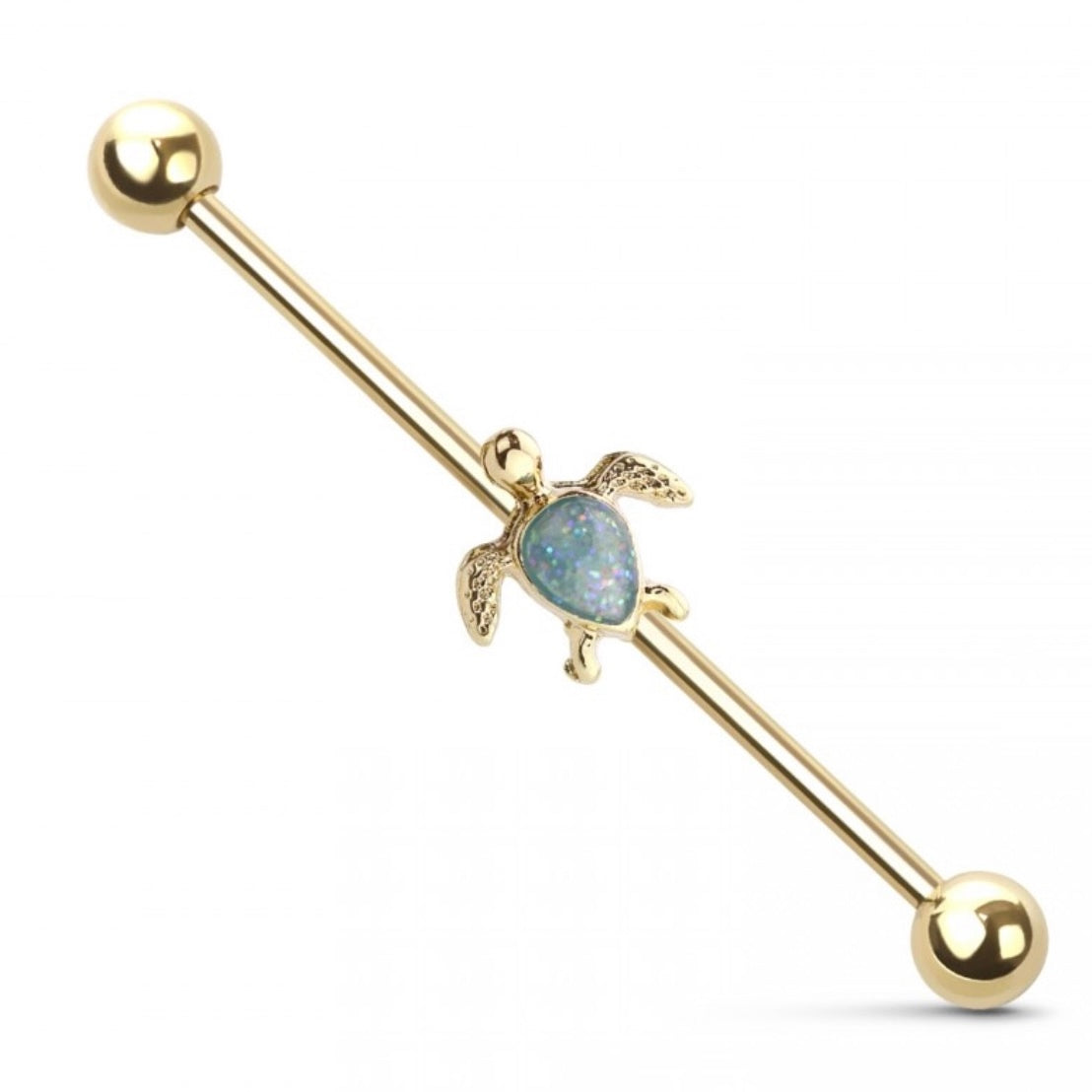 LITTLE TURTLE Industrial Barbell 🐢✨