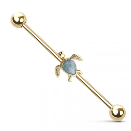 LITTLE TURTLE Industrial Barbell 🐢✨